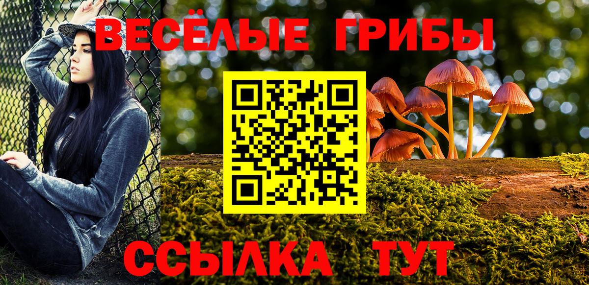 Псилоцибиновые грибы Psilocybe Мелеуз